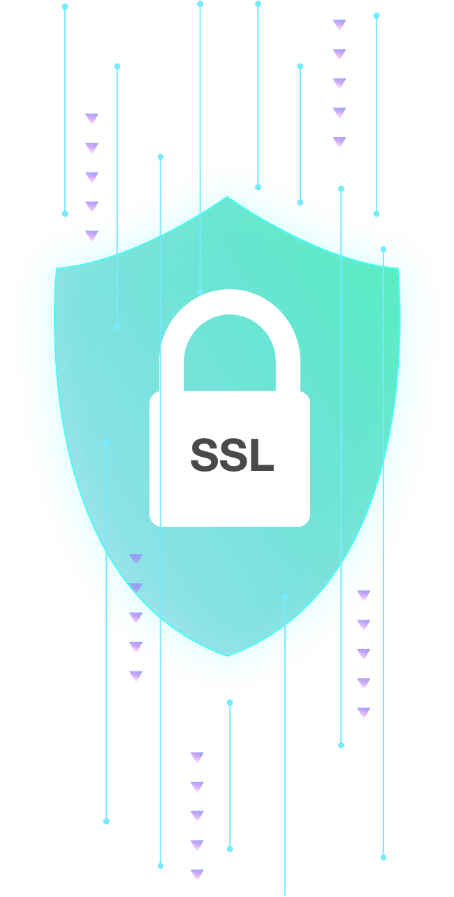SSL Certificates Database